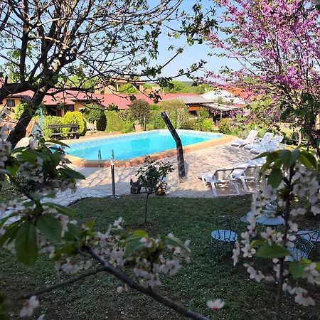 アパート Romantic For Two With A Pool ロヴィンスコ・セロ